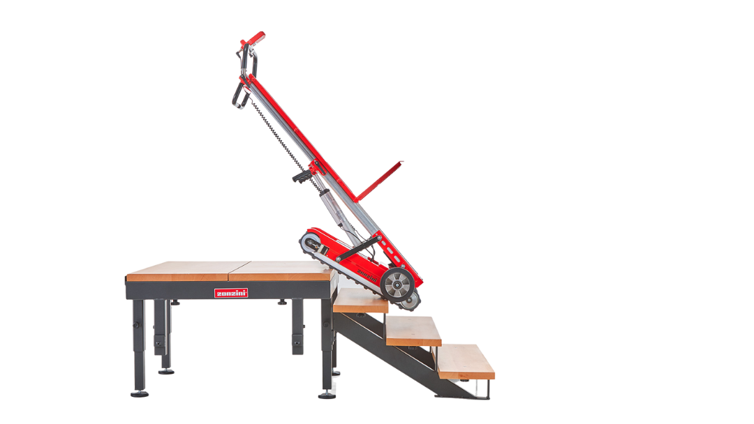 Zonzini Buddy no background Zonzini Buddy no background