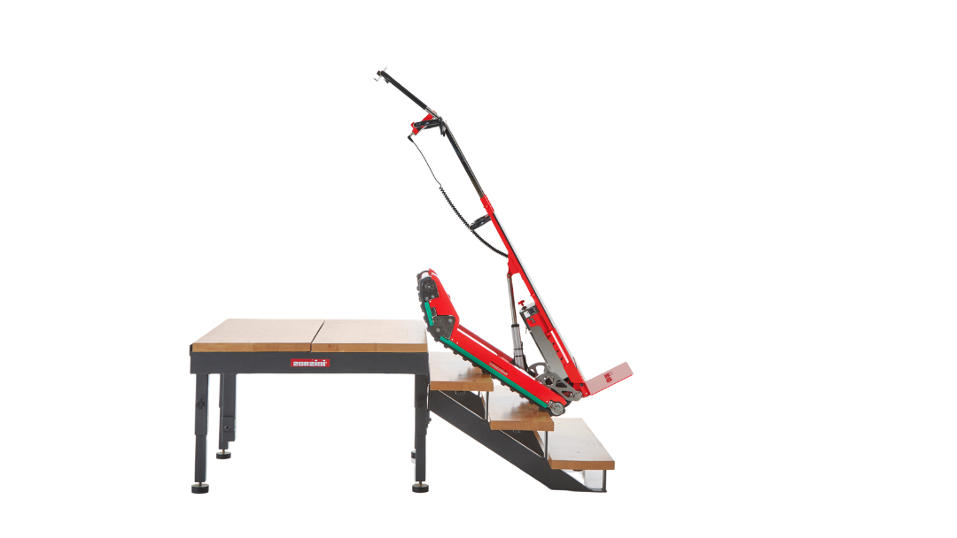 Zonzini Skipper no background Zonzini Skipper no background